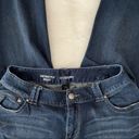 Lane Bryant  Distinctly Boot Jeans 14P Photo 6