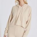 Wildfox | Trenton knit hoodie in wheat Photo 0