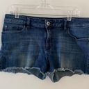 DL1961  Lola raw hem denim shorts size 30 Photo 0