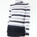 Q&A Grey, White, Pink & Black Striped Ribbed Turtleneck Photo 1