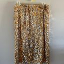 Amazon Glitter Skirt Photo 0