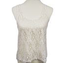 Kirra  Cream & Gold Metallic Mesh Tank Top Small Photo 1