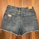 American Eagle 90s Boyfriend Shorts Photo 1