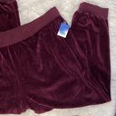 Abound NWT Velour Joggers Photo 0