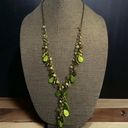 Coldwater Creek  shells and bead cluster Y necklace Photo 0