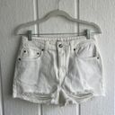 Roxy Denim Shorts Photo 0