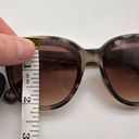 Lele Sadoughi NWT  Tortoise Brooklyn Sunglasses Cat Eye Photo 9