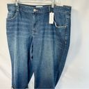 Lane Bryant NWT  Blue Boyfriend Capri Jeans Stretch Denim Women’s Plus Size 18P Photo 12