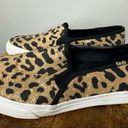 Keds Canvas Animal Print Slip on Sneaker Size 9 Photo 0