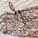 Moon River  Faux Snake Skin Open Back‎ Midi Dress Size XS Photo 4