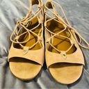 Indigo rd. Gadiva Lace Up Gladiator Sandal Flats Faux Suede Tan 8.5 M Photo 4