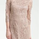 Sue Wong  Blush Pink Lace Bodycon Cocktail Dress Size 8 Photo 0