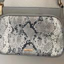 Dune London  grey snakeskin purse Photo 1