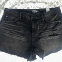 Time & Tru  Black Shorts  Photo 0