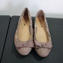 American Eagle  Womens 6.5 Becky Grommet Ballet Flats Taupe Suede Casual Bow Photo 1