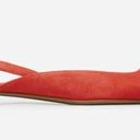 Everlane  The Editor Slingback Suede Flats in Persimmon Photo 3