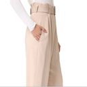 ALC Frank A.L.C. Dillon Belted Paperbag Gaucho Pants Photo 4