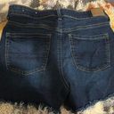 American Eagle Outfitters High Waist Shorts Photo 1