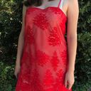 Show Me Your Mumu Vibrant Red  Risque Mesh & Embroidered Lace Slip Dress Photo 0