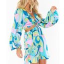 Show Me Your Mumu  Go Out Cut Out Mini Dress in Go Go Luxe Medium Womens Retro Photo 13