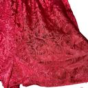 Victoria's Secret Vintage Victoria Secret Gold Label Red Sleep Shorts Photo 1