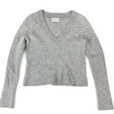 Everlane  | Gray Wool Blend V-Neck Sweater SHRUNKEN- Size S (See description) Photo 0