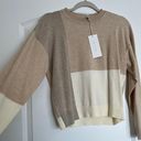 Lush Clothing Sweater Photo 1