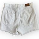 American Eagle  White Ripped Distressed High Waisted 90s Boyfriend Jean Shorts 8 Photo 5