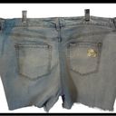 Lane Bryant  Denim Shorts Emroidered Daisies sz 20 raw edge Photo 3