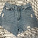 Just Black Denim JBD Jean Shorts Photo 0