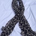 Ann Taylor Cheetah Print Scarf Photo 2