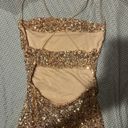 Windsor Champagne / Rose Gold Dress Photo 2