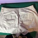 Liz Claiborne LIZWEAR Tan Shorts  Size 12 Photo 1