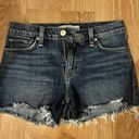 Hudson Jean Shorts Photo 0