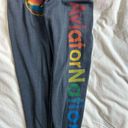 Aviator Nation  charcoal sweatpants Photo 2