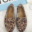 Toms  Animal Print flat loafer slip ons Photo 0