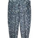 Athleta  Womens Brooklyn Ankle Pants Sz 2P Captivate Chrome Blue Pockets UPF 50+ Photo 1