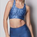 Good American NWOT  The Step Sports Bra in Sky Blue Leopard Print Photo 0