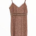 Storia  Blush Pink Lace Trim Dress Cami Straps Sheer Panels size Medium Photo 2