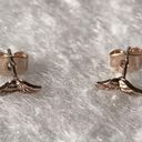 American Eagle Rose Gold Mustache (Wings?) Earrings Photo 0