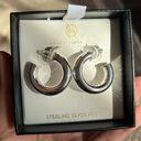 House of Harlow  1960 Chunky Hoop earrings Photo 1