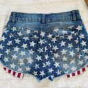 Tobi Stars & Stripes Shorts Photo 2