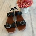 Everlane EUC  The Twin Buckle Sandal Photo 4