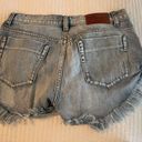 One Teaspoon Bandit Shorts Photo 1