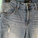 1822 Denim  Distressed Jeans Photo 3