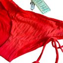 Luli Fama  Last Fling Full Bikini Bottom nwt Photo 1