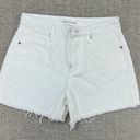 Articles of Society NWT  High Rise Shorts Photo 0