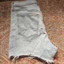 Abercrombie & Fitch Curve Love Shorts Photo 3