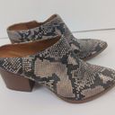 Dolcetta Dolce Vita  Animal Print Mules Size 6.5M Snake Print Python Slip On Rory Photo 2