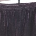 Kathie Lee Collection  Plum Purple Velvet Pants Pull-On Velour XL Retro Vintage Photo 2